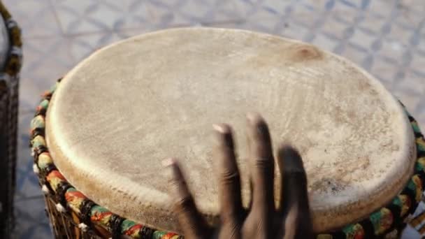 セネガル人の男性が伝統的な太鼓を演奏します 西アフリカの伝統音楽は路上や祭りで演奏されることが多い — ストック動画