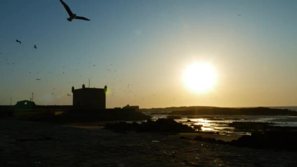 日落时位于摩洛哥大西洋海岸的埃索维拉港口的斯卡拉 让大气背景镜头平静下来慢动作 — 图库视频影像