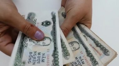 Vietnam Dong para birimi banknotları. Vietnam 'ın parasal geçmişi.