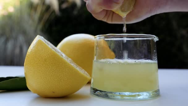 レモンは純粋なレモンジュースを生産するガラス瓶に押し込まれます 背景映像ビタミンC 健康的な有機食品のライフスタイル スローモーション映像 — ストック動画