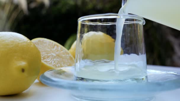 生絞りの純レモン汁をグラスボトルに流し込みます 背景映像健康的なライフスタイル スローモーション映像 — ストック動画
