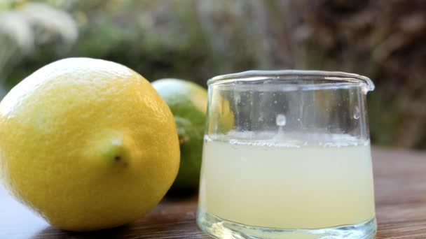 レモンは純粋なレモンジュースを生産するガラス瓶に押し込まれます 背景映像ビタミンC 健康的な有機食品のライフスタイル スローモーション映像 — ストック動画