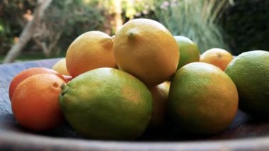 Turunçgil, limon, portakal, mandalina, mandalina, C vitamini, sağlıklı ve ferahlatıcı. Doğal organik gıda yaşam tarzı. Yavaş çekim görüntüleri.