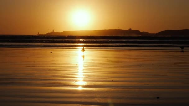 Sonnenuntergang Strand Mit Einströmenden Wellen Eine Insel Mit Moschee Hintergrund — Stockvideo