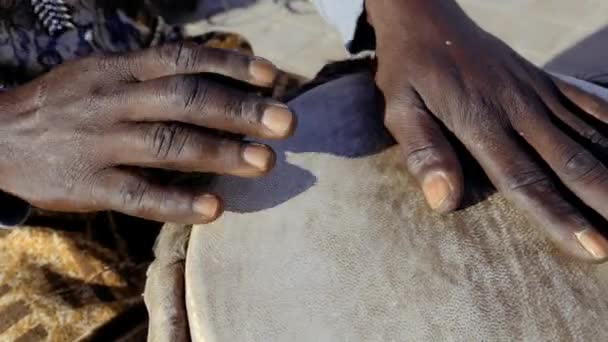 Senegalese Suona Con Mani Tradizionale Tamburo Djembe Musica Tradizionale Dell — Video Stock