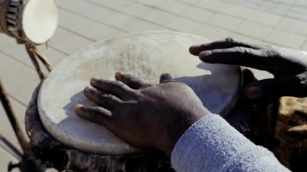 Senegalesisk Man Spelar Traditionell Djembe Trumma Med Händerna Västafrikansk Traditionell — Stockvideo