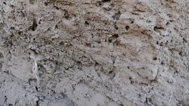 Abstract Closeup Lava Sandstone Rocks Cliff Rocks Atlantic Coast Sidi — Vídeo de Stock