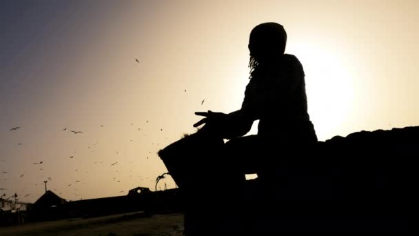 African Percussion Music Silhouette Senegalese Man Playing Traditional Djembe Drum — Stock Video