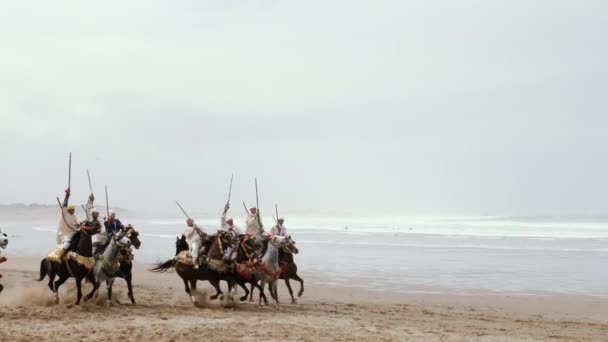 Essaouira Marrakech Morocco March 2022 Fantasia Tbourida Lab Baroud Traditional — Stock Video