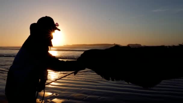 Silhouette Eines Mannes Der Sein Dromedar Kamel Bei Sonnenuntergang Strand — Stockvideo