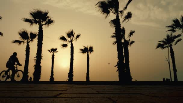 Puesta Sol Paseo Marítimo Essaouira Marruecos Siluetas Jóvenes Bicicleta Vibraciones — Vídeos de Stock