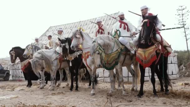 Essaouira Marakech モロッコ 2022年3月12日 Fantasia Tbourida Lab Baroud 伝統的なモロッコ バーバー — ストック動画