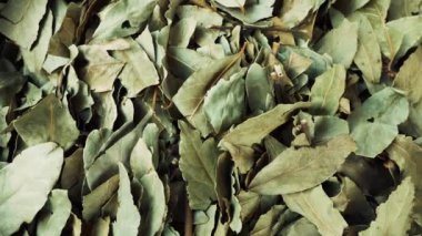 Marakeş (Marakeş), Fas 'taki Medine' deki pazarda kurumuş körfez yaprakları (Laurus nobilis) yığını. Baharat çorbaları, yemekler ve çay için kullanılır. 4k yemek arkaplan görüntüsü.