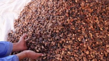 Kurumuş Fas hurmaları, geleneksel çarşaf, Fas 'ta hurma pazarı. Sağlıklı yiyecekler, yüksek miktarda vitamin ve protein. 4k yemek arkaplan görüntüsü. 