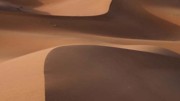 Windy Desert Sand Dunes Landscapes Sahara Desert Mhamid Erg Chigaga — ストック動画