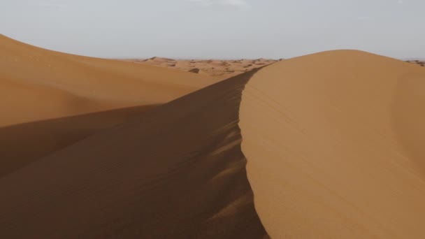 Lindas Serenas Dunas Areia Deserto Saara Mhamid Erg Chigaga Marrocos — Vídeo de Stock