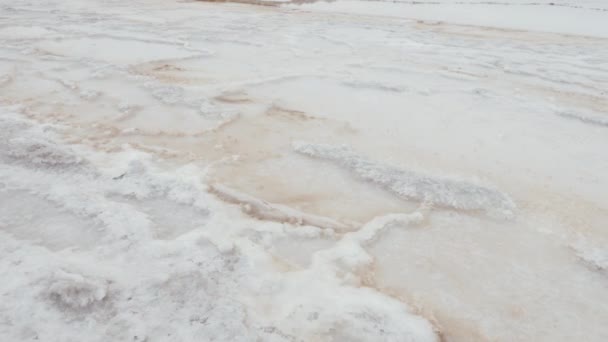 Natural Sea Salt Extraction Evaporation Ponds Tazgha Salt Flats South — Stok video