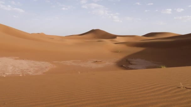 Sahara Desert Sand Dunes Landscapes Mhamid Erg Chigaga Morocco Nature — 비디오