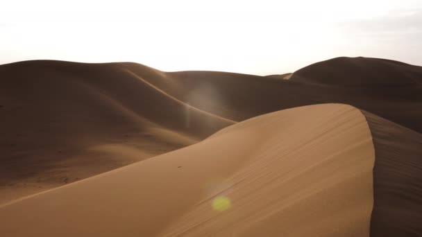 Sahara Desert Sand Dunes Landscapes Sunset Mhamid Erg Chigaga Morocco — 비디오