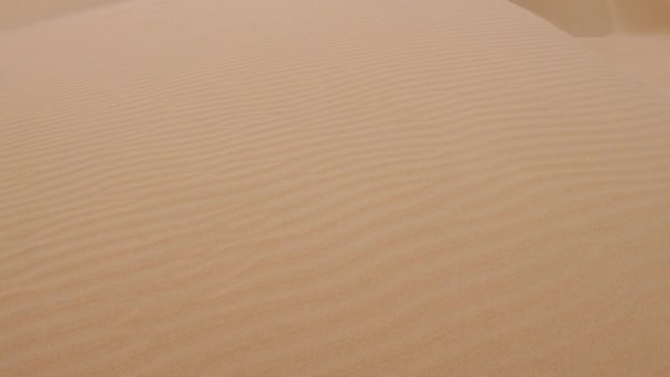 Beautiful Serene High Key Desert Sand Dunes White Sand Landscapes — 비디오