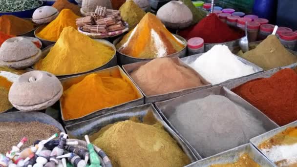 Colorato Mercato Delle Spezie Nel Souk Settimanale Rissani Sud Marocco — Video Stock