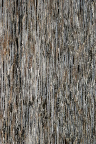 Grungy hout — Stockfoto