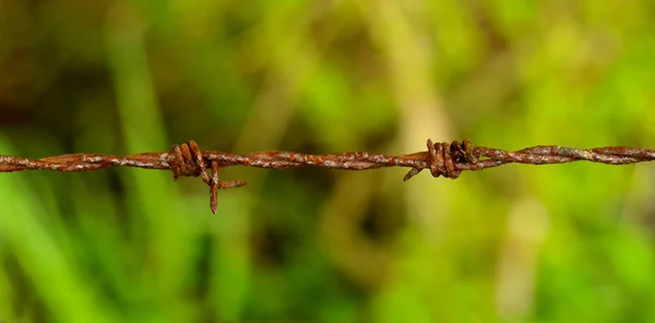 Alambre de púas oxidado — Foto de Stock