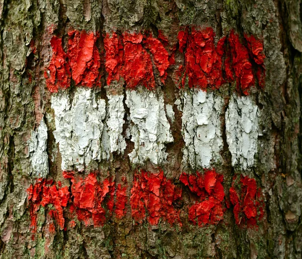 Austrian Flag — Stock Photo, Image