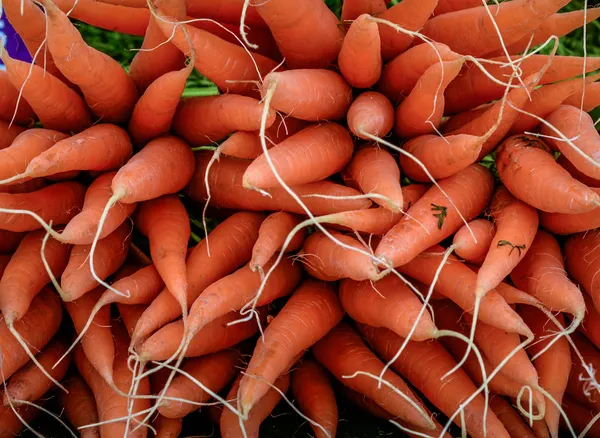 Raw Carrots — Stock Photo, Image