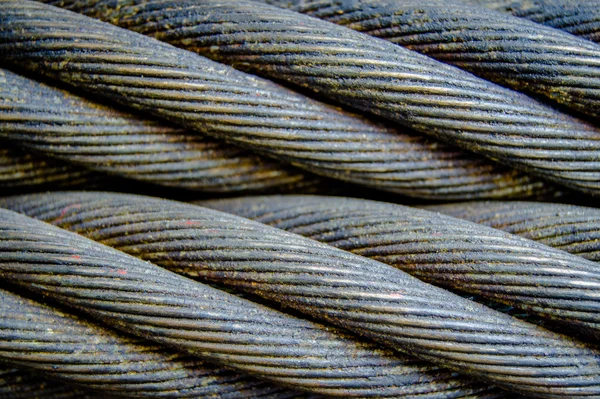 Cables gruñones — Foto de Stock