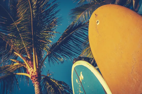 Pranchas de surf vintage e palmas — Fotografia de Stock