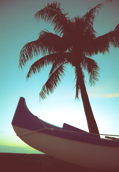 レトロなスタイルのカヌーと椰子の木 — ストック写真
