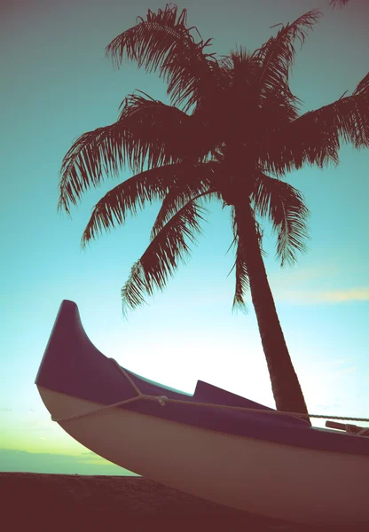 Canoa estilo retro y palmera —  Fotos de Stock