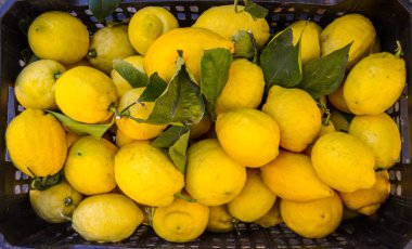 piyasa limon