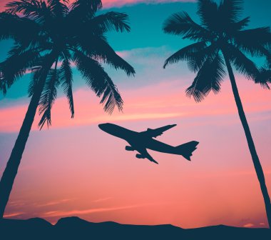 Retro Airliner With Palm Trees