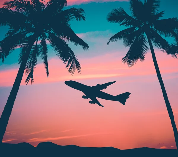 Retro Airliner With Palm Trees — Stock Photo, Image