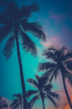 Retro günbatımı hawaii palmiye ağaçları