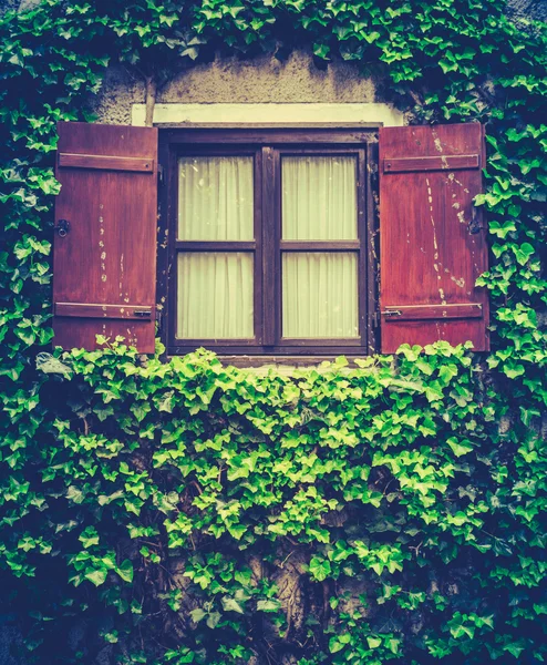 Charmig retro ivy house — Stockfoto