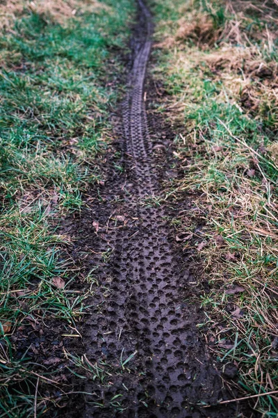 Sports Image Mountain Bike Tire Tracks Wet Mud — Stock Photo, Image