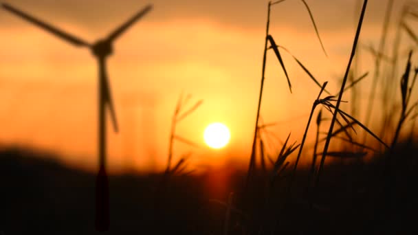 Looping Video Wind Turbine Generating Clean Renewable Energy Beautiful Sunset 免版税图库视频片段