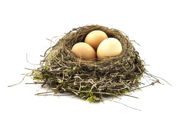 Ninho de pássaros com ovos no fundo branco — Fotografia de Stock
