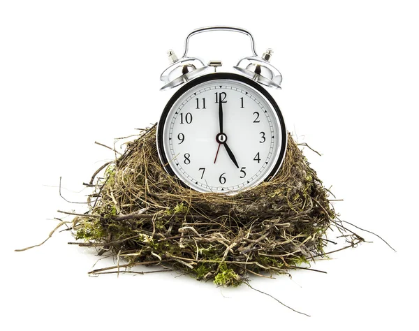 Real vazio pássaro ninho com relógio no fundo branco — Fotografia de Stock