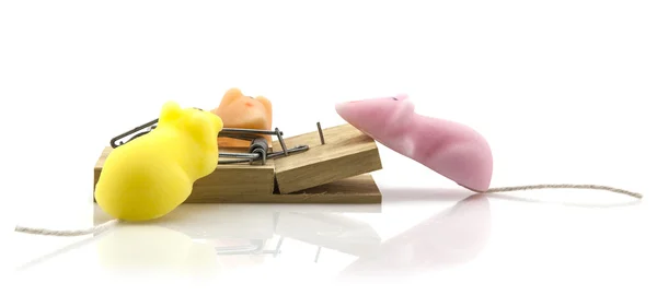 Sugar Mice with mouse trap — Stock Photo, Image