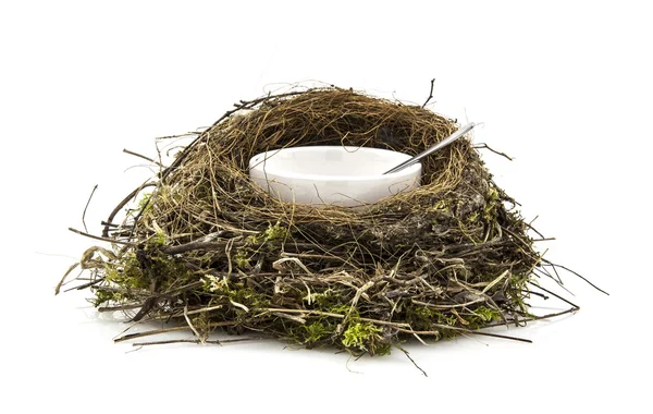 Birds nest soup wiith soup bowl and spoon on white background Stock Picture