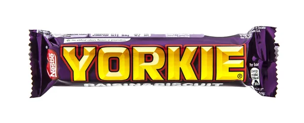 Yorkie pasas y galletas cocolate Bar sobre un fondo blanco —  Fotos de Stock