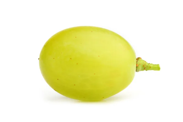 White grape close-up — Stock Photo, Image
