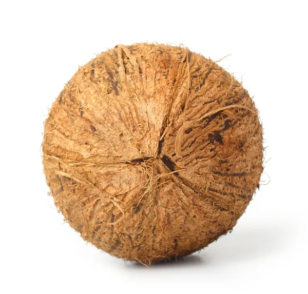 Kokos na białym tle — Zdjęcie stockowe