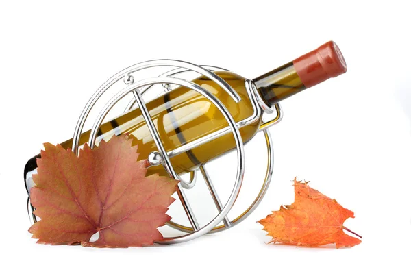 Garrafa de vinho branco em suporte metálico e folhas de outono — Fotografia de Stock