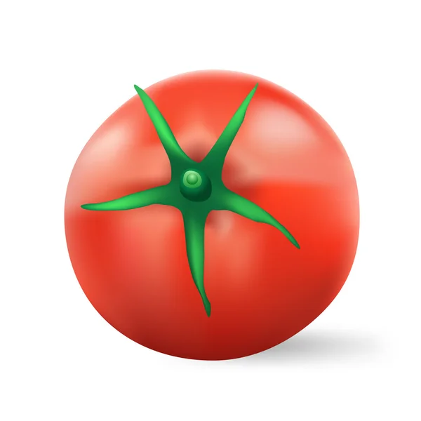 Red tomato — Stock Vector