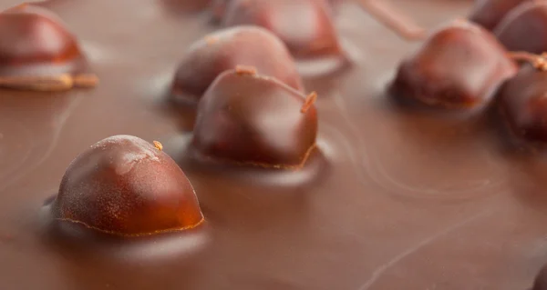 Chocolate com nozes foto macro — Fotografia de Stock
